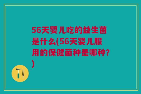56天婴儿吃的益生菌是什么(56天婴儿服用的保健菌种是哪种？)