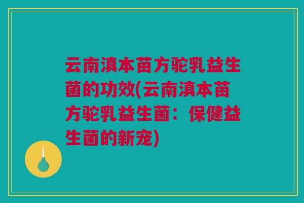 云南滇本苗方驼乳益生菌的功效(云南滇本苗方驼乳益生菌：保健益生菌的新宠)