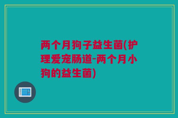 两个月狗子益生菌(护理爱宠肠道-两个月小狗的益生菌)