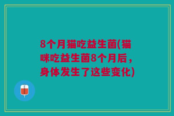 8个月猫吃益生菌(猫咪吃益生菌8个月后，身体发生了这些变化)