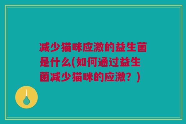 减少猫咪应激的益生菌是什么(如何通过益生菌减少猫咪的应激？)