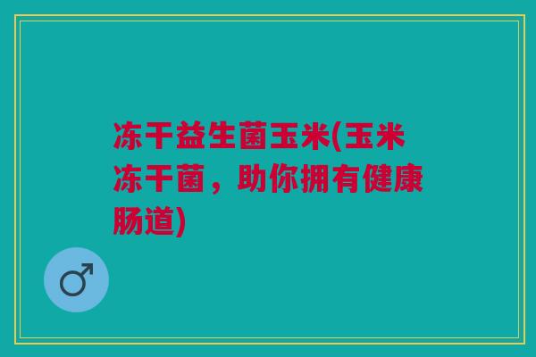 冻干益生菌玉米(玉米冻干菌，助你拥有健康肠道)