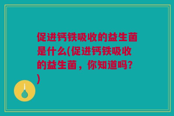 促进钙铁吸收的益生菌是什么(促进钙铁吸收的益生菌，你知道吗？)