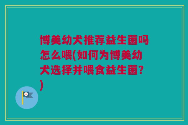 博美幼犬推荐益生菌吗怎么喂(如何为博美幼犬选择并喂食益生菌？)