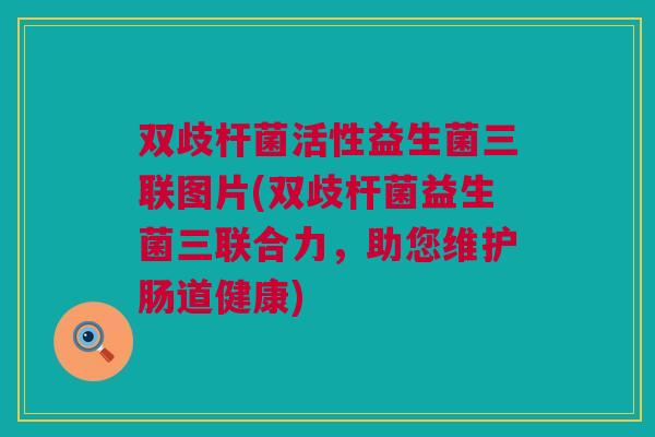 双歧杆菌活性益生菌三联图片(双歧杆菌益生菌三联合力，助您维护肠道健康)