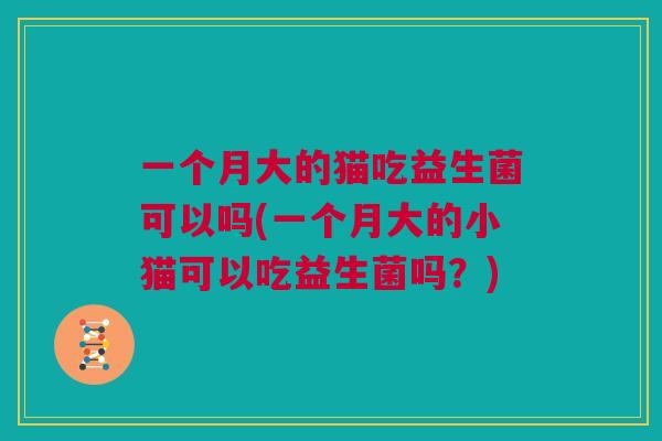 一个月大的猫吃益生菌可以吗(一个月大的小猫可以吃益生菌吗？)