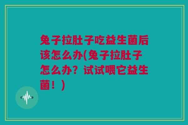 兔子拉肚子吃益生菌后该怎么办(兔子拉肚子怎么办？试试喂它益生菌！)