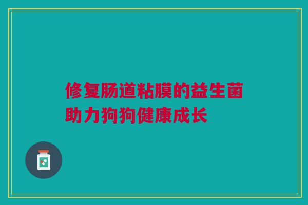 修复肠道粘膜的益生菌助力狗狗健康成长