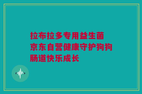 拉布拉多专用益生菌 京东自营健康守护狗狗肠道快乐成长
