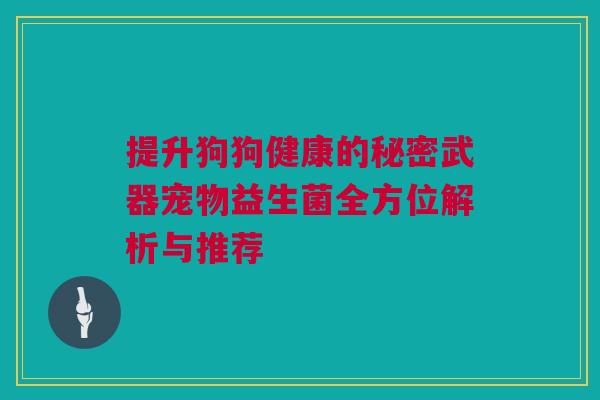 提升狗狗健康的秘密武器宠物益生菌全方位解析与推荐