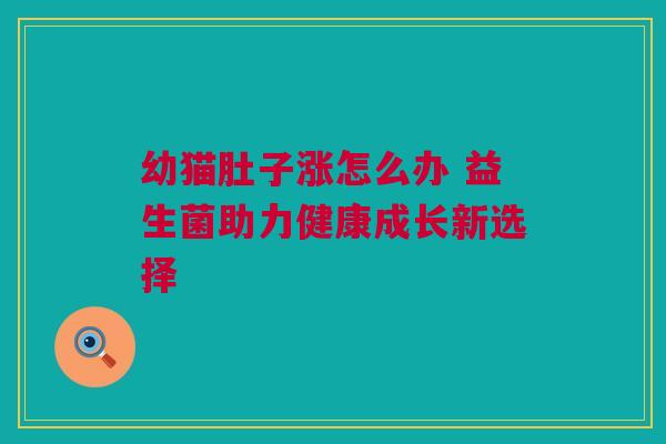 幼猫肚子涨怎么办 益生菌助力健康成长新选择