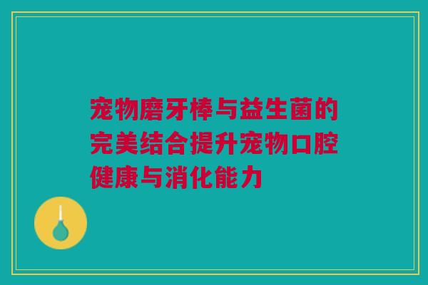 宠物磨牙棒与益生菌的完美结合提升宠物口腔健康与消化能力