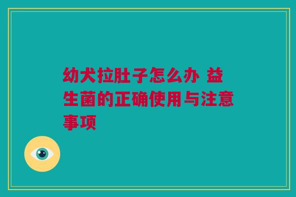 幼犬拉肚子怎么办 益生菌的正确使用与注意事项