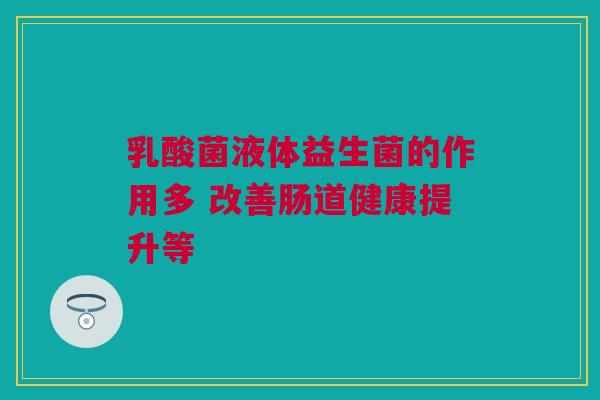 乳酸菌液体益生菌的作用多 改善肠道健康提升等