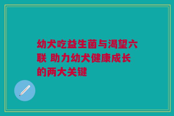 幼犬吃益生菌与渴望六联 助力幼犬健康成长的两大关键