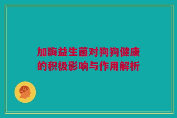 加酶益生菌对狗狗健康的积极影响与作用解析
