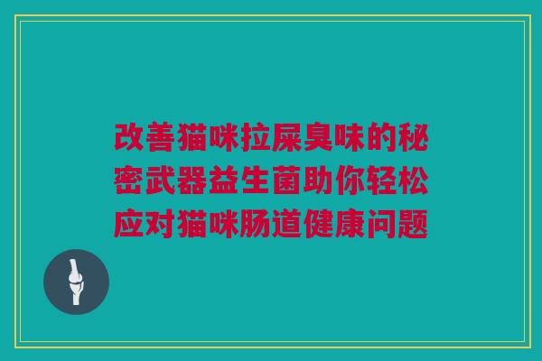 改善猫咪拉屎臭味的秘密武器益生菌助你轻松应对猫咪肠道健康问题