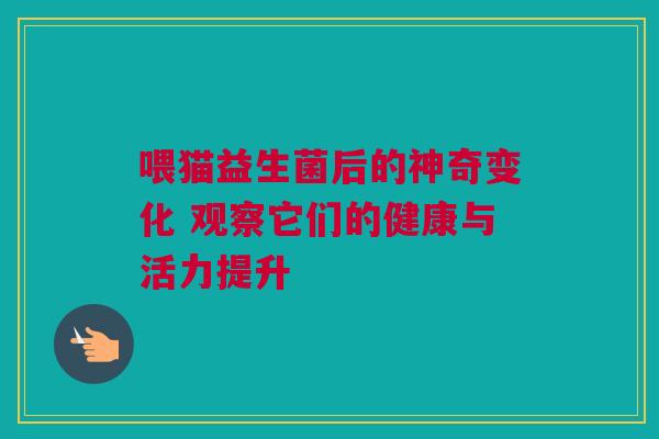 喂猫益生菌后的神奇变化 观察它们的健康与活力提升