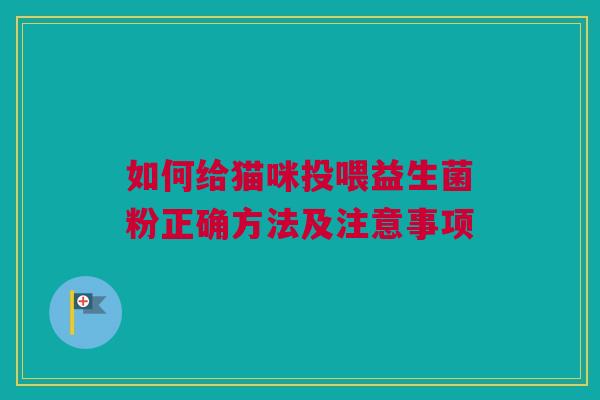 如何给猫咪投喂益生菌粉正确方法及注意事项