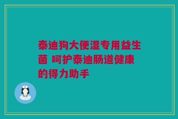 泰迪狗大便湿专用益生菌 呵护泰迪肠道健康的得力助手