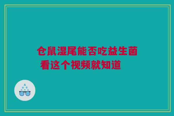 仓鼠湿尾能否吃益生菌 看这个视频就知道