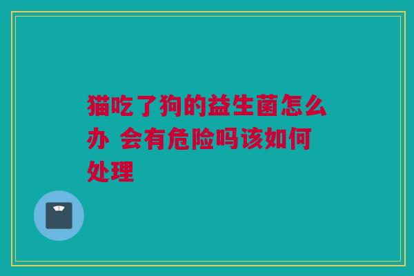 猫吃了狗的益生菌怎么办 会有危险吗该如何处理