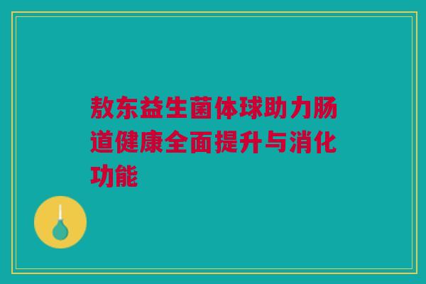 敖东益生菌体球助力肠道健康全面提升与消化功能