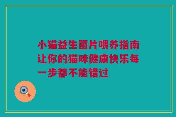 小猫益生菌片喂养指南让你的猫咪健康快乐每一步都不能错过