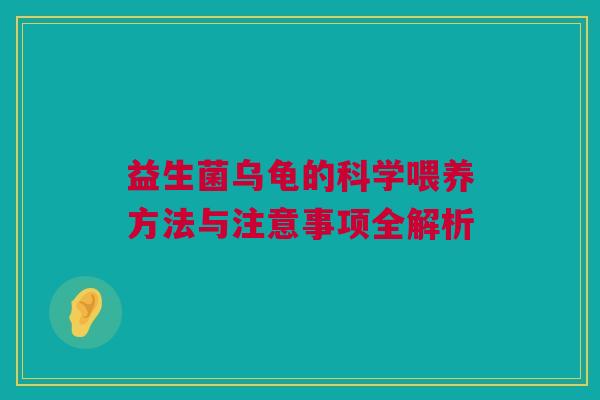 益生菌乌龟的科学喂养方法与注意事项全解析