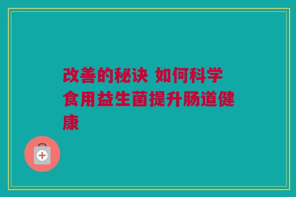 改善的秘诀 如何科学食用益生菌提升肠道健康