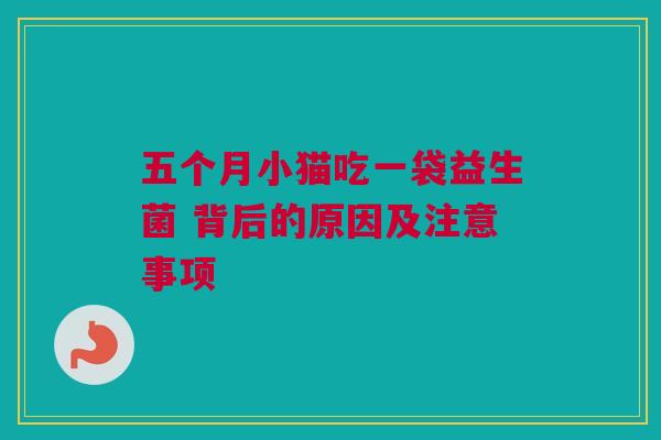五个月小猫吃一袋益生菌 背后的原因及注意事项