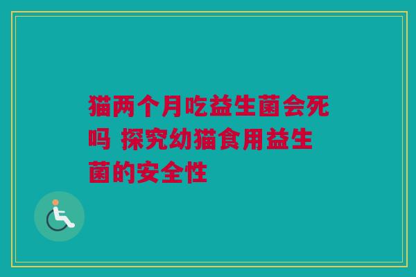 猫两个月吃益生菌会死吗 探究幼猫食用益生菌的安全性