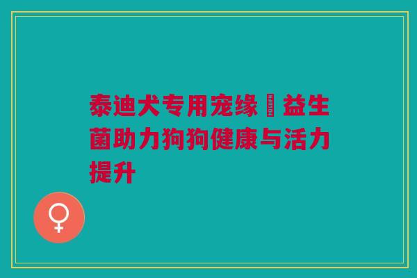 泰迪犬专用宠缘昇益生菌助力狗狗健康与活力提升