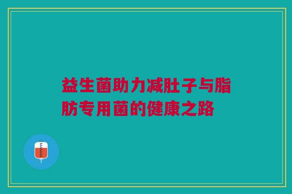 益生菌助力减肚子与脂肪专用菌的健康之路