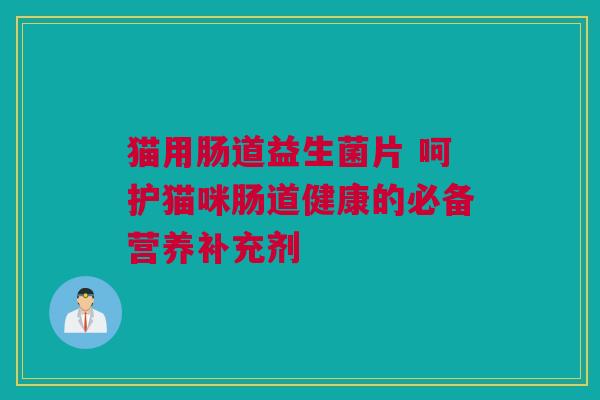 猫用肠道益生菌片 呵护猫咪肠道健康的必备营养补充剂