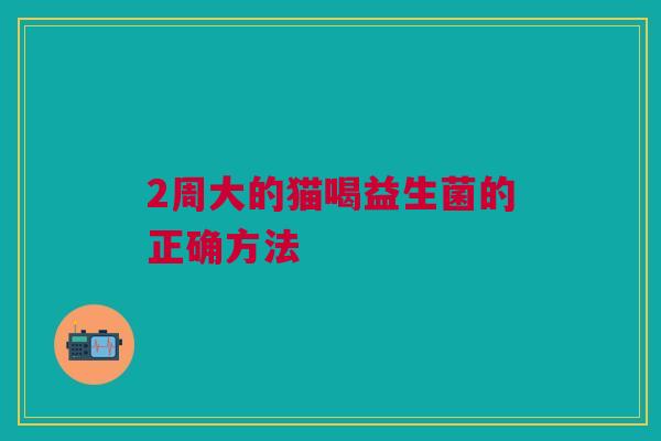 2周大的猫喝益生菌的正确方法