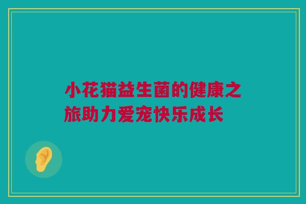 小花猫益生菌的健康之旅助力爱宠快乐成长