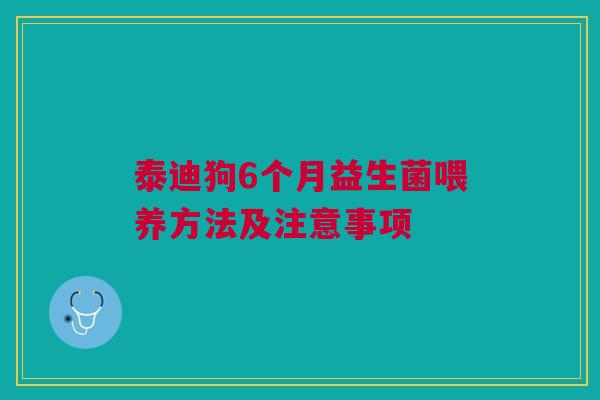 泰迪狗6个月益生菌喂养方法及注意事项