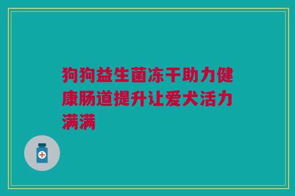 狗狗益生菌冻干助力健康肠道提升让爱犬活力满满