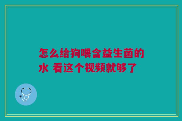 怎么给狗喂含益生菌的水 看这个视频就够了