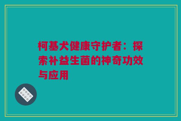柯基犬健康守护者：探索补益生菌的神奇功效与应用