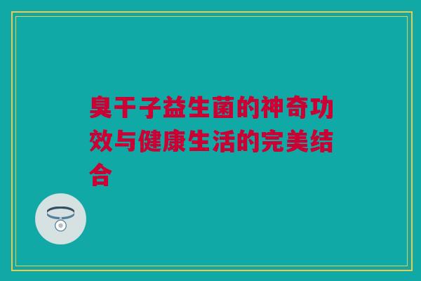 臭干子益生菌的神奇功效与健康生活的完美结合