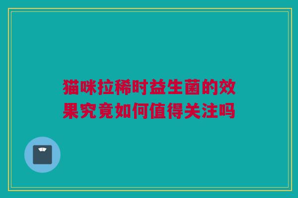 猫咪拉稀时益生菌的效果究竟如何值得关注吗