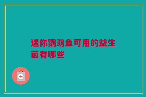迷你鹦鹉鱼可用的益生菌有哪些