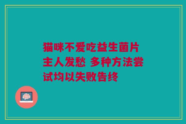 猫咪不爱吃益生菌片 主人发愁 多种方法尝试均以失败告终