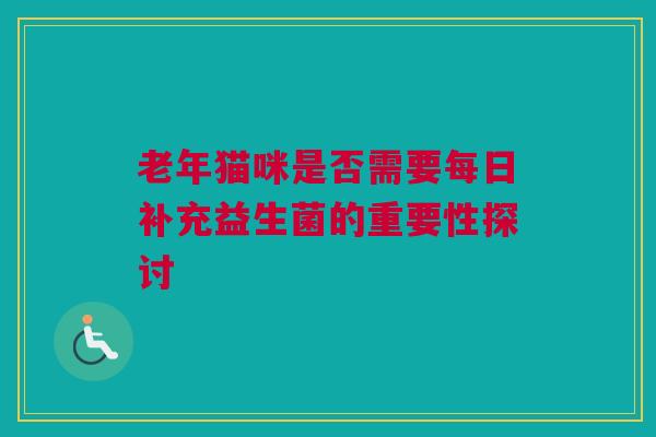 老年猫咪是否需要每日补充益生菌的重要性探讨