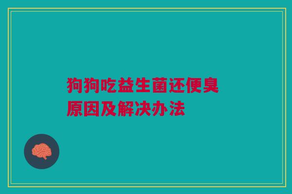 狗狗吃益生菌还便臭 原因及解决办法