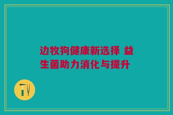边牧狗健康新选择 益生菌助力消化与提升
