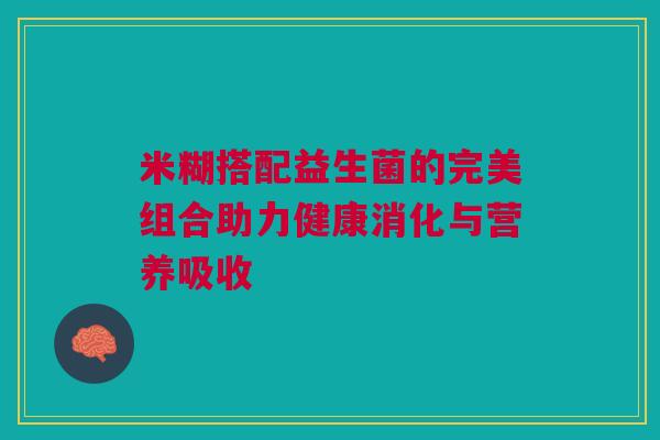 米糊搭配益生菌的完美组合助力健康消化与营养吸收