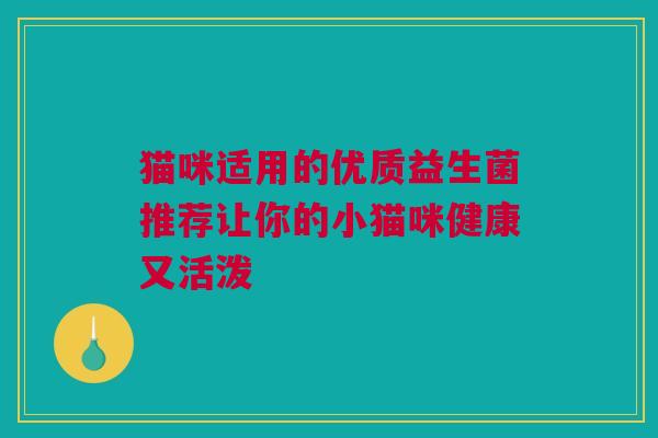 猫咪适用的优质益生菌推荐让你的小猫咪健康又活泼